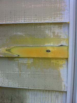 gerepareerde rotte plek in houtwerk