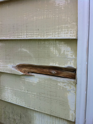 schoon gemaakte rotte plek in houtwerk