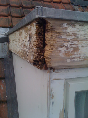 schoon gemaakte rotte plek in houtwerk