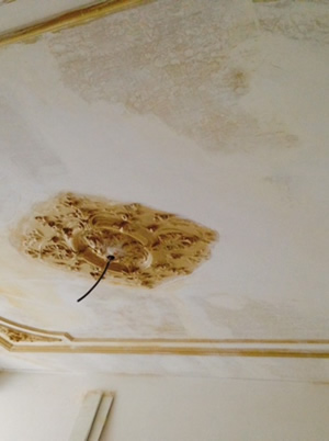 sierpleisterwerk plafond